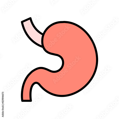 Stomach set icon. Digestive system, organ, gastric, anatomy, digestion, medical, human body, health, stomach function.