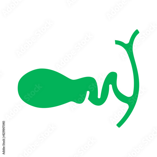 Gallbladder set icon. Bile storage, gallbladder structure, biliary system, digestive organ, liver connection, digestive health, medical illustration.