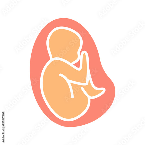 Fetus set icon. Human fetus, pregnancy, embryo development, prenatal growth, unborn baby, womb, gestation, prenatal care.