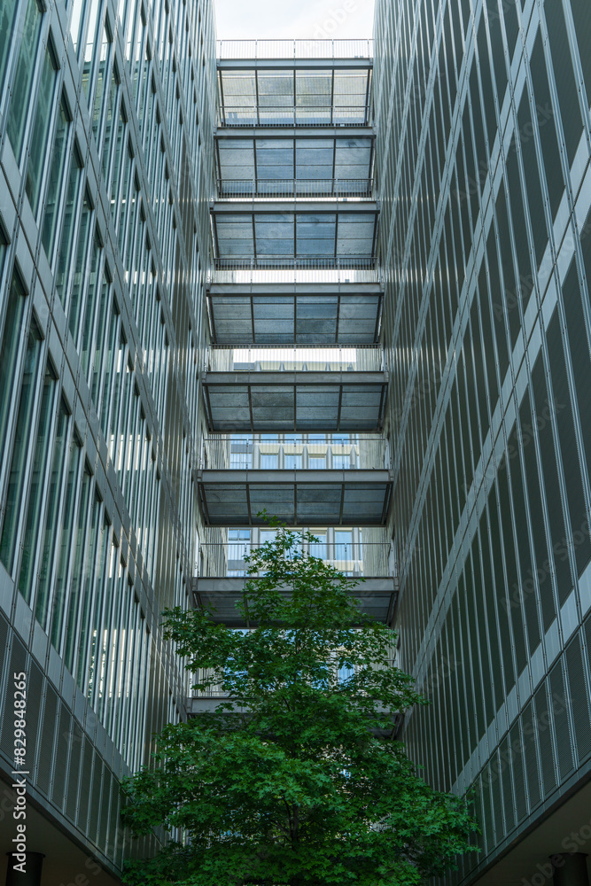 high-rise buildings and green trees high-rise buildings and green trees