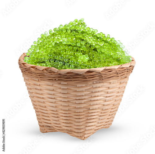 Sea grapes ( green caviar ) seaweed in basket isolated on white background © supamas