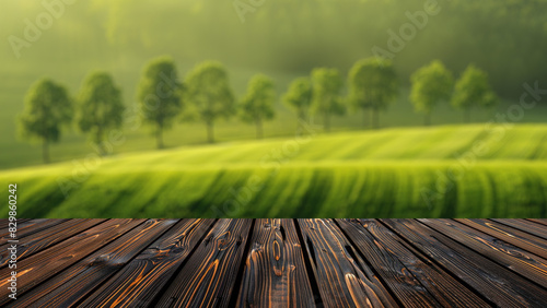 Empty wood table top with blur background of mountain and green nature. The table giving copy space for placing advertising product on the table along with beautiful forest nature scenery background.