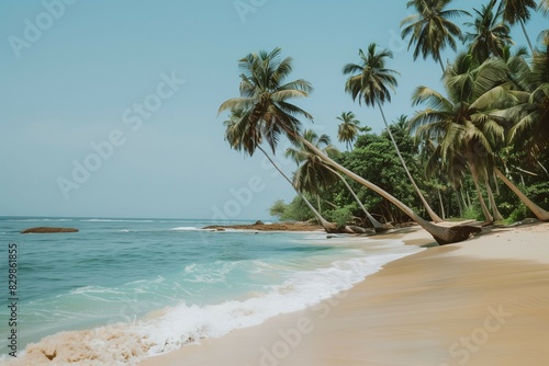 Tropical beach with palm trees and blue sky waves gently crash summer vacation romance concept.