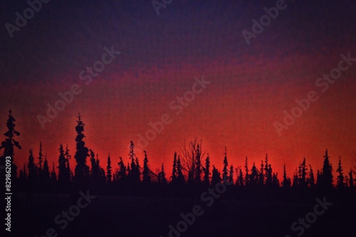 Nearby, Novoportovskoye oil and gas condensate field is northernmost and one of largest oil and gas condensate fields being developed on Yamal Peninsula. Tundra border with forest and sunset photo