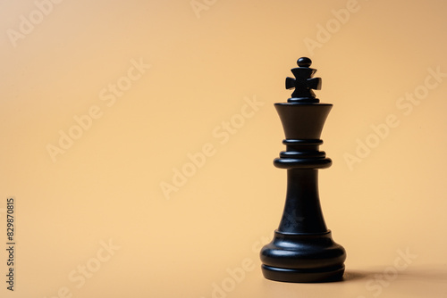 Black chess pieces on a solid color background symbolizing strategic planning and role assignments in organizational management, emphasizing effective business tactics and team success