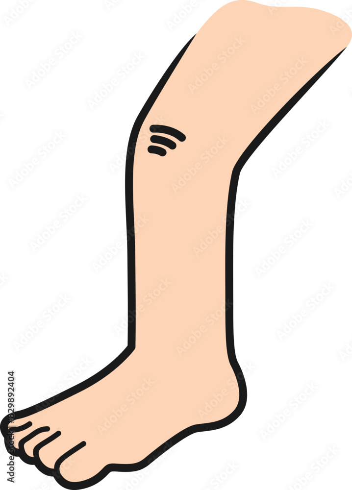 Body Parts Illustration Element Body Parts Illustration Element