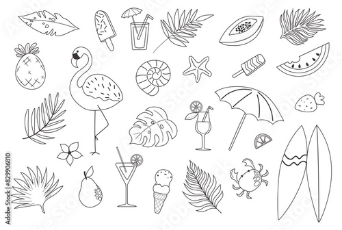 Handdrawn vector outline summer set. Doodle palm leaves, fruits, flamingo, ice cream, cocktails, starfish, surfboard.