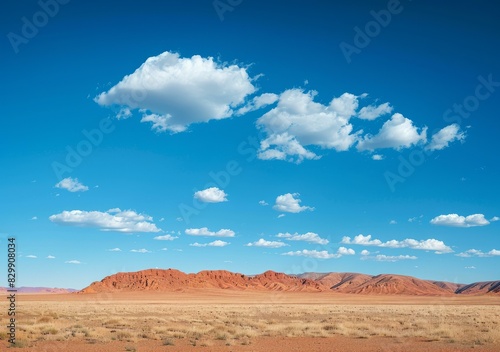 Vast Desert Landscape with Distant Peaks