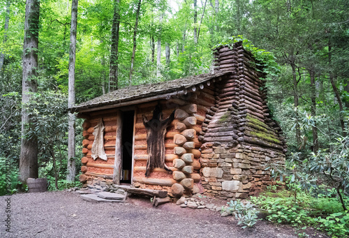 Cabin in woods