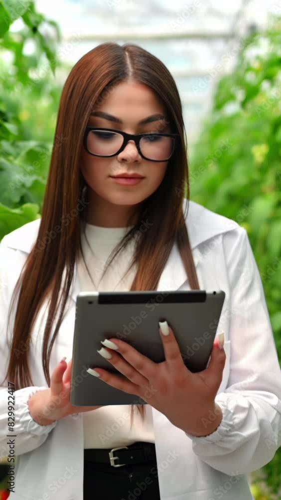 Laboratory technician in a white coat analysing tomatoes grown in a greenhouse. Vertical Laboratory technician in a white coat analysing tomatoes grown in a greenhouse. Vertical