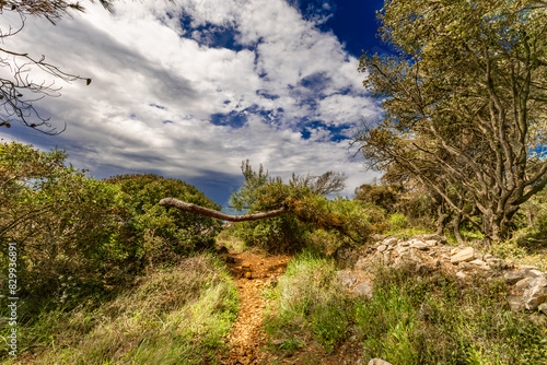 Landscape of the Croatian coast around Rovinj, rocky beaches, azure Adriatic Sea