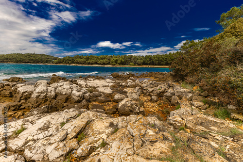 Landscape of the Croatian coast around Rovinj, rocky beaches, azure Adriatic Sea