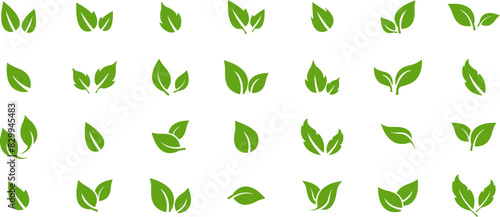 Green leaf icons set. Leaves icon on transparent background. Collection green leaf. Elements design for natural  eco  vegan  bio labels. Vector illustration EPS 10