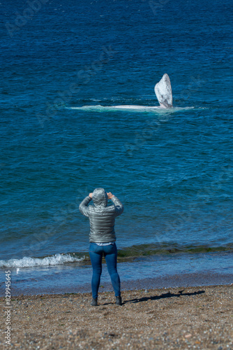 Tourists watching whales in Doradillo Beach, observation from the coast, Puerto Madryn, Patagonia, Argentina. photo