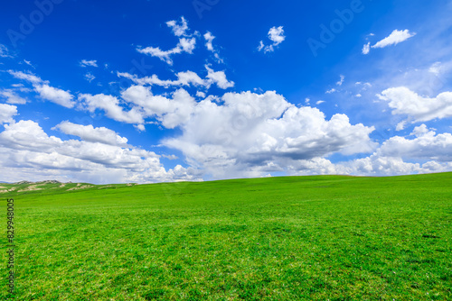 Green grass and beautiful sky clouds nature landscape on a sunny day