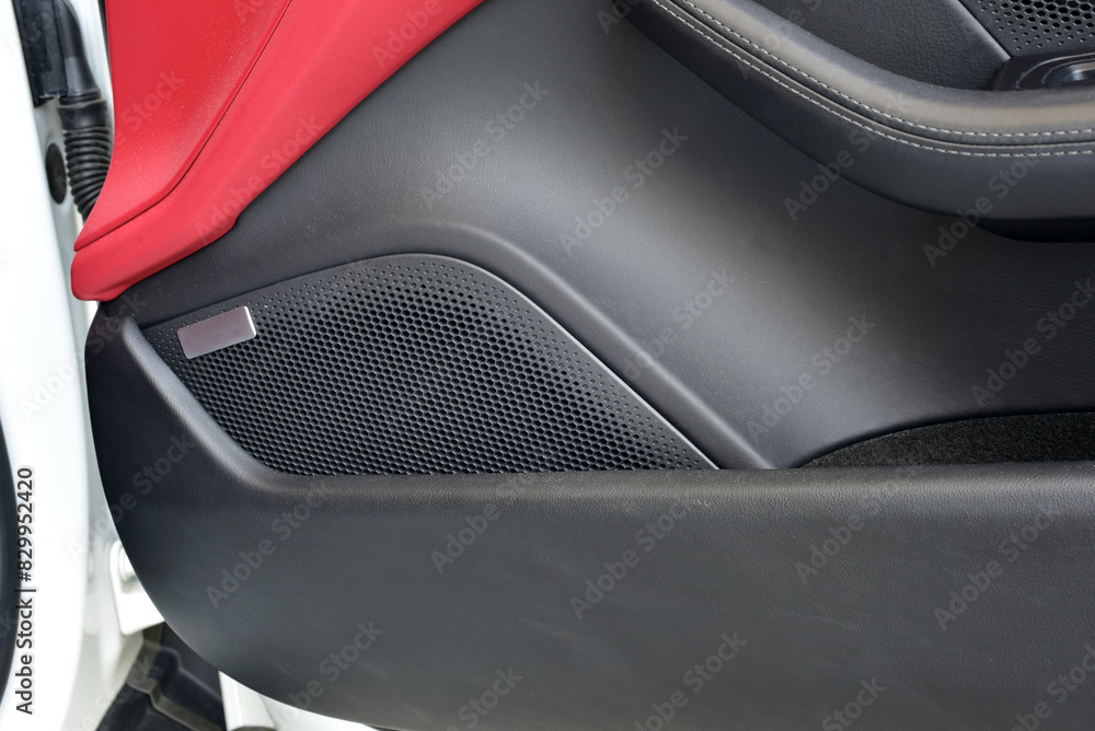 Speaker in the passenger car door Speaker in the passenger car door