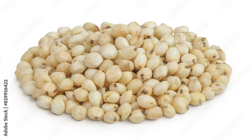 Sorghum seeds isolated on white background with full depth of field. Sorghum seeds isolated on white background with full depth of field.