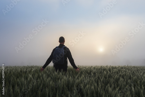 Man with backpack walking in tranquil morning wheat agriculture field with misty fog and sun shine through. Czech landscape