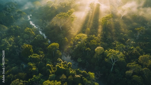 imagine a drone shot of the dense canopy of an Australian rainforest  with sunlight breaking through the trees and a river winding below --ar 16 9 --style 