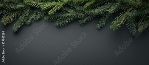 A flat lay image of spruce ...