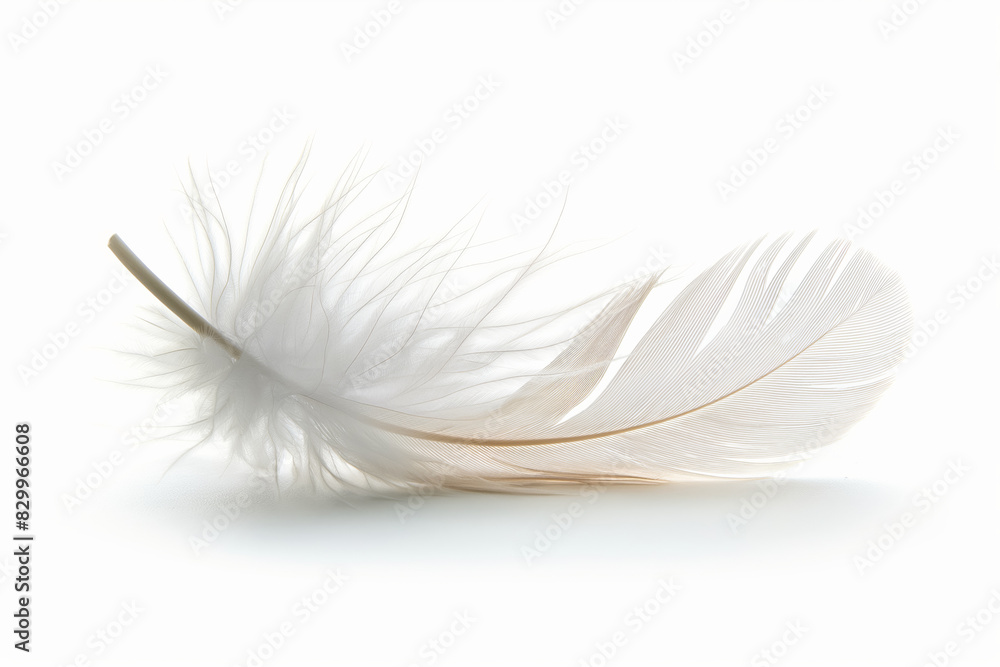 A soft feather falling gently, signifying peaceful slumber, isolated on a white background A soft feather falling gently, signifying peaceful slumber, isolated on a white background