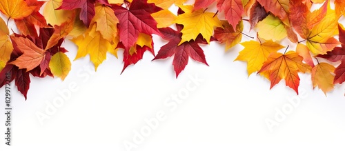 A beautiful arrangement of colorful autumn leaves on a white background creating a frame for your copy space image