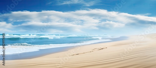 Panoramic view of the natural landscape near the sea showcasing the last row of dunes before the beach with ample copy space image