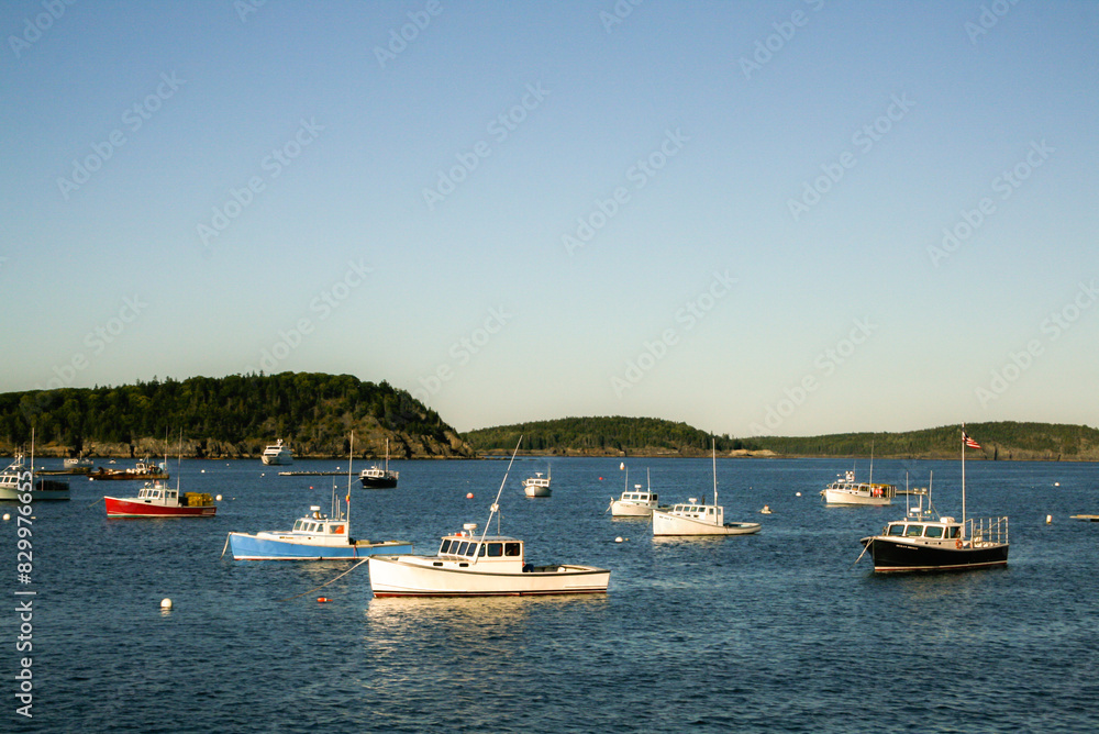 Fishing boats at anchor in Bar Harbor, Maine Fishing boats at anchor in Bar Harbor, Maine