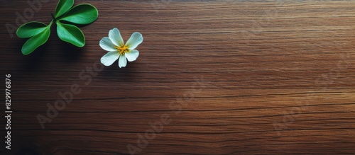 An aerial view of a small green flower resting on a wooden table with plenty of copy space for image customization