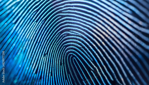 Close-up of blue fingerprint pattern dark background, intricate ridges and whorls for biometric and forensic, technology, security.