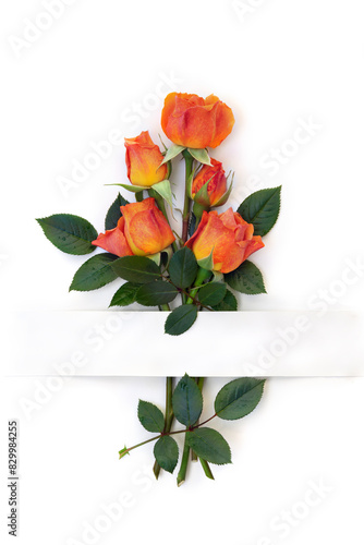 Orange red flowers roses and white paper card with space for text on white background. Top view, flat lay