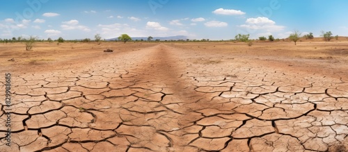 During the extremely dry season the terrain becomes arid with minimal water broken soil and scarce vegetation creating a copy space image