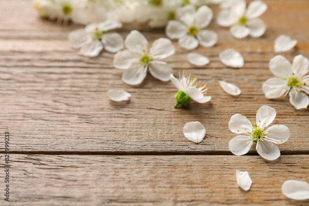 Spring blossoms and petals on wooden table, closeup. Space for text Spring blossoms and petals on wooden table, closeup. Space for text