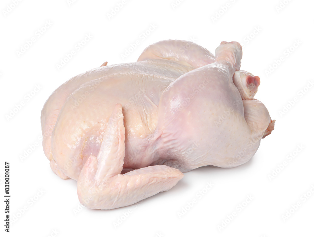 One fresh raw chicken isolated on white One fresh raw chicken isolated on white