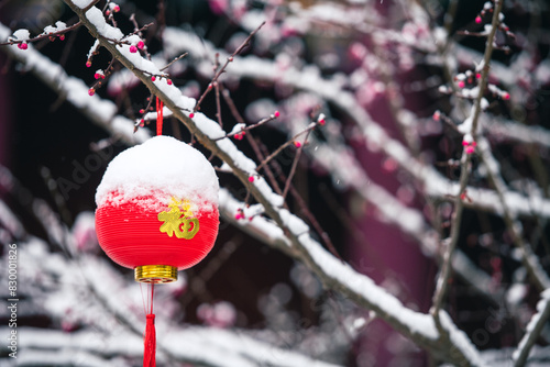 Guanshanhu District Putuo Temple in Guiyang, also known as West Putuo Temple, was originally named Baiyun Temple. It is located in Baiyun District, Guiyang, and is a nunnery.  photo