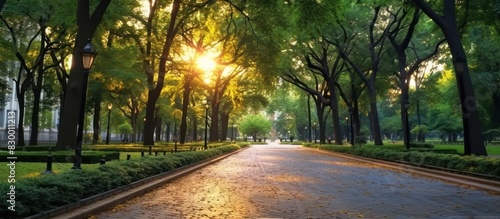 Beautiful modern city park street in the morning