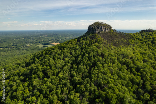 Green Forest Surrounds Mountain Peak Under a Blue Sky