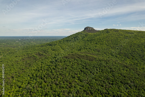 Green Forest Surrounds Mountain Peak Under a Blue Sky