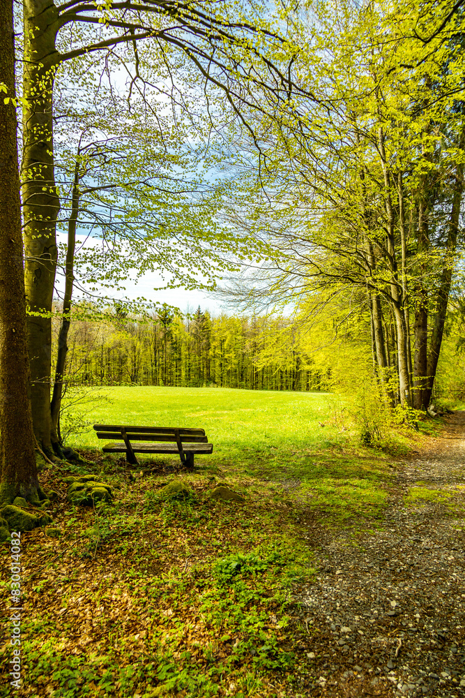Eine Frühlingshafte Wanderung durch das wunderschöne Sinntal zum Schwarzen Berge bei Riedenberg - Bayern -Deutschland Eine Frühlingshafte Wanderung durch das wunderschöne Sinntal zum Schwarzen Berge bei Riedenberg - Bayern -Deutschland