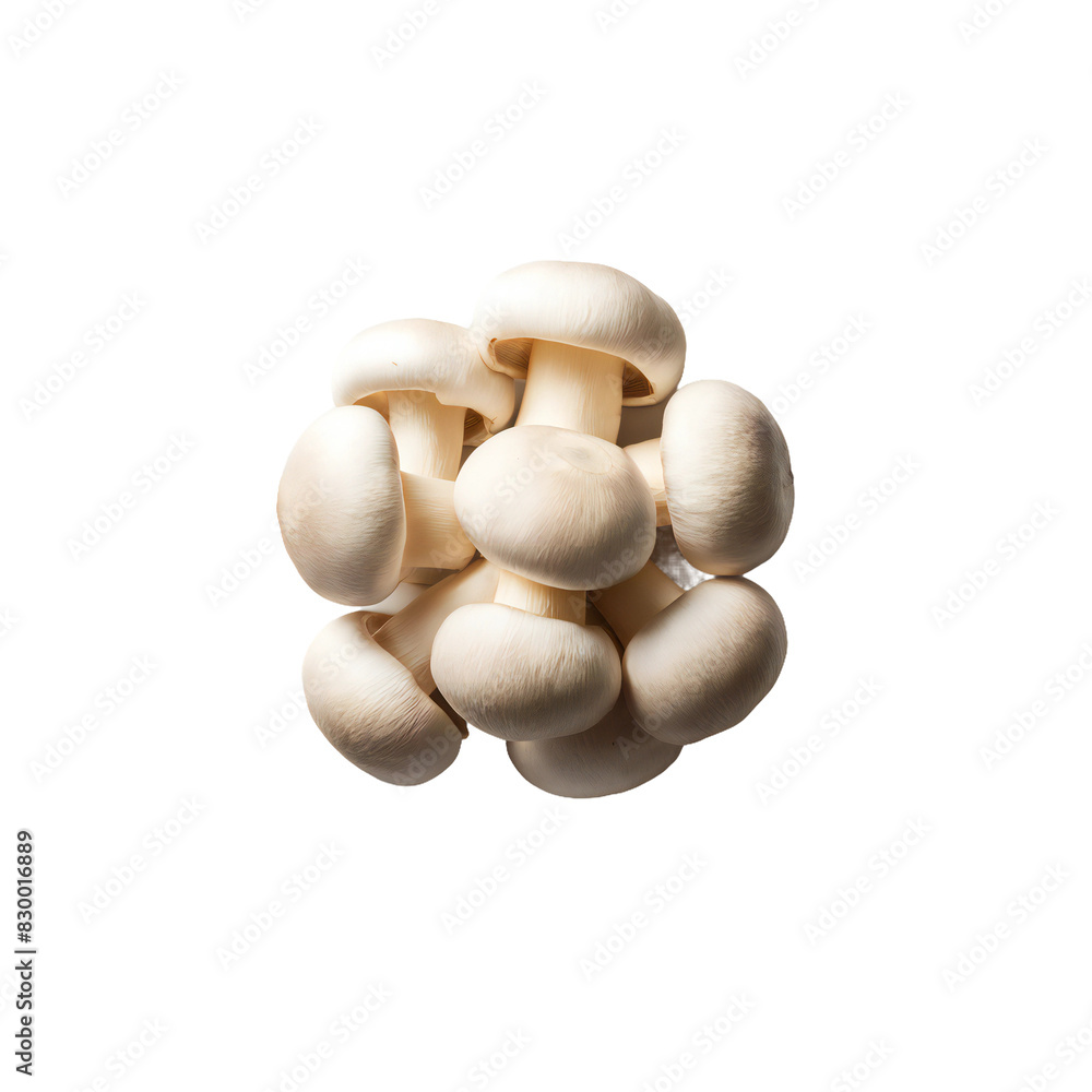 Fresh mushrooms isolated on transparent background Fresh mushrooms isolated on transparent background