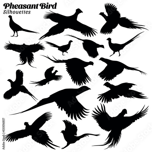 Set of pheasant bird silhouettes
