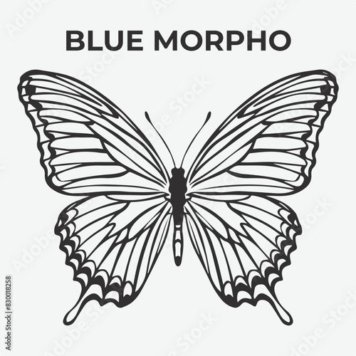 Blue Morpho butterfly Detailed Outline for Artistic Coloring. Vector Illustration