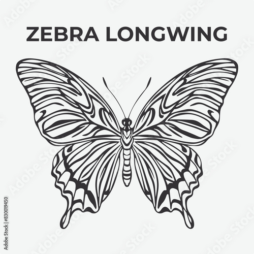 Zebra Longwin butterfly Detailed Outline for Artistic Coloring. Vector Illustration