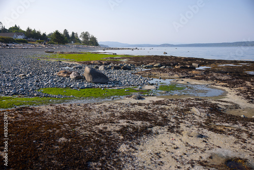 Green mossy riverbank with serene water landscape photo