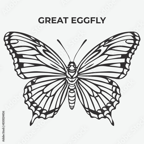 Great Eggfly butterfly Detailed Outline for Artistic Coloring. Vector Illustration