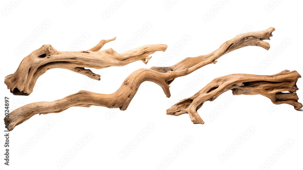 Fototapeta premium Collection of driftwood isolated on transparent png background. Pieces of river drift wood. 