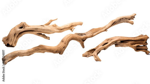 Collection of driftwood isolated on transparent png background. Pieces of river drift wood.
