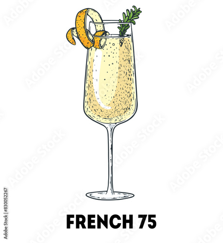 French 75 cocktail illustration. Hand drawn sketch. Vector illustration. Isolated object.