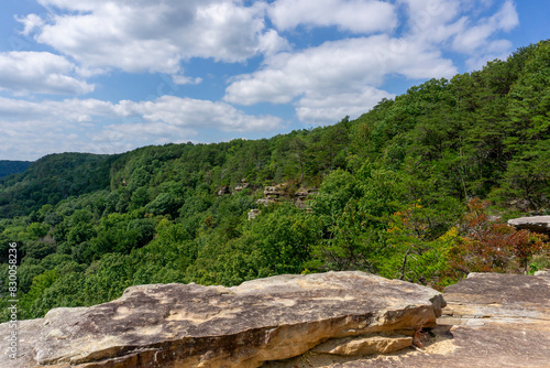 Foto Sandstone cliffs, surrounded by heavily forested mountainside, are visible from the Great Stone Door overlook in Savage Gulf State Park in the South Cumberland Mountains of Tennessee