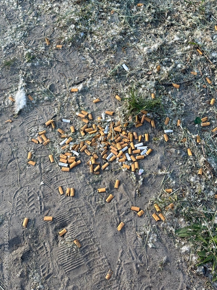 A large pile of cigarette butts on the ground